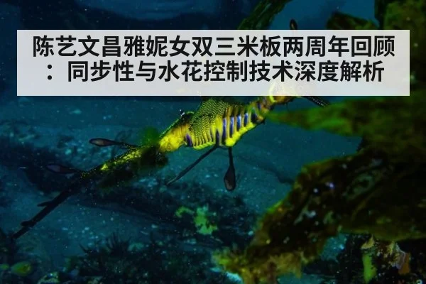 陈艺文昌雅妮女双三米板两周年回顾：同步性与水花控制技术深度解析