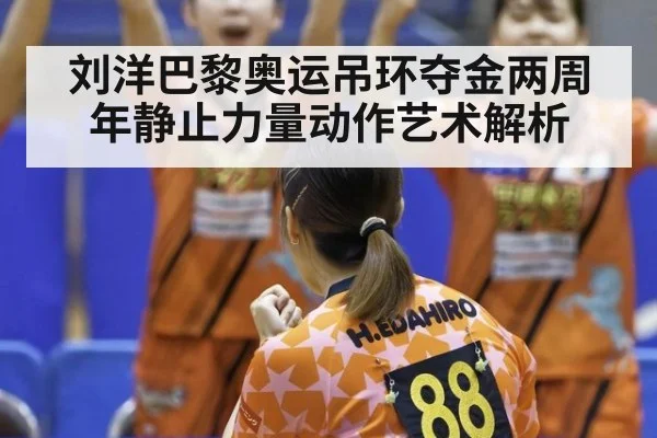 刘洋巴黎奥运吊环夺金两周年静止力量动作艺术解析